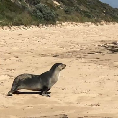 Watch Western Australia's leaked NSFW video on TwXstars