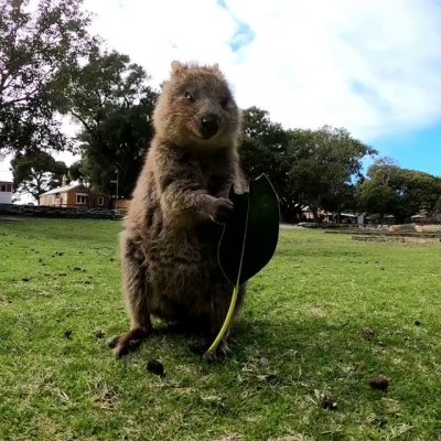 Watch Western Australia's leaked NSFW video on TwXstars