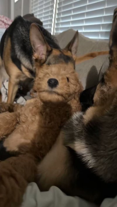 Watch 𝐵𝑟𝑖 ❤︎︎'s leaked NSFW video on TwXstars