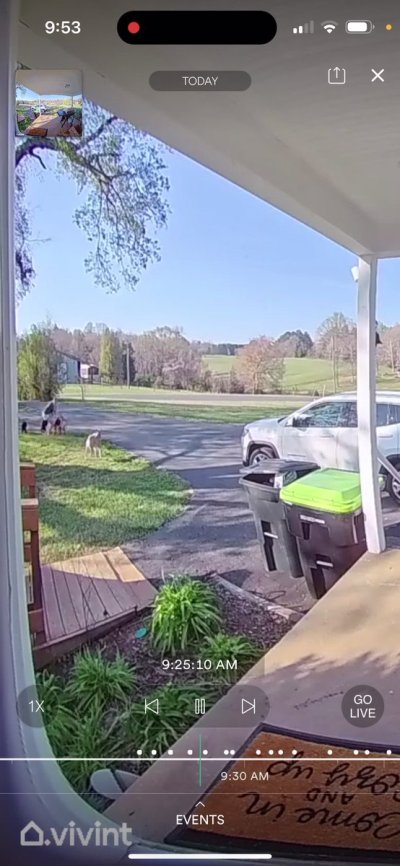 Watch 𝐵𝑟𝑖 ❤︎︎'s leaked NSFW video on TwXstars