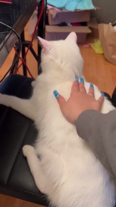 Watch OGBeeFarmr 👽🛸🪐's leaked NSFW video on TwXstars