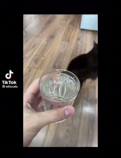 Watch OGBeeFarmr 👽🛸🪐's leaked NSFW video on TwXstars