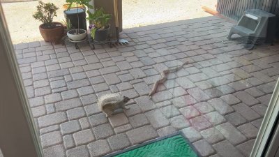 Watch Chaos Emerald's leaked NSFW video on TwXstars