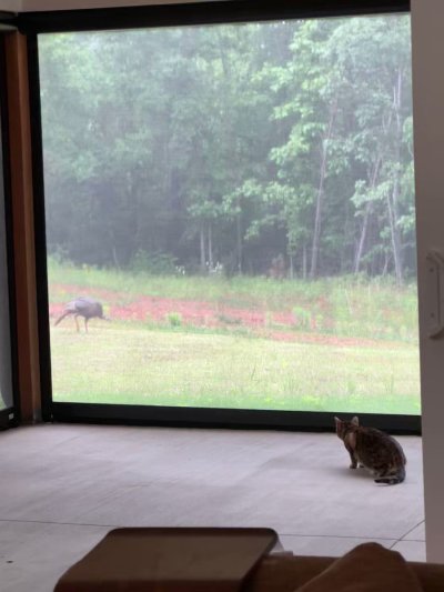 Watch Anthony Cumia's leaked NSFW video on TwXstars