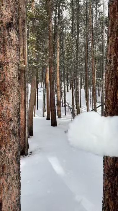 Watch Dani Daniels's leaked NSFW video on TwXstars