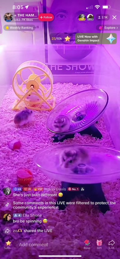 Watch Stass's leaked NSFW video on TwXstars