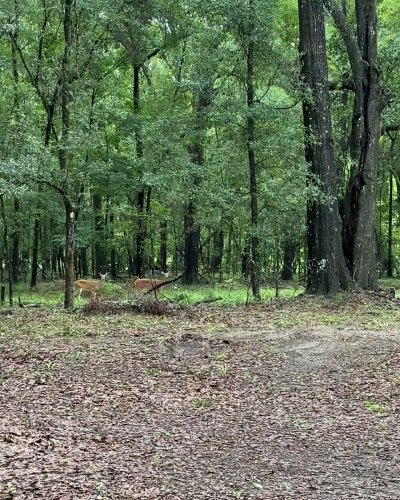 Watch Karina Paola's leaked NSFW video on TwXstars