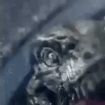 Watch Pookie's leaked NSFW video on TwXstars