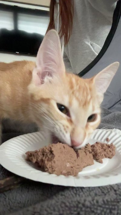 Watch Stefani Somers's leaked NSFW video on TwXstars