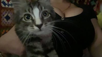 Watch Gaia's leaked NSFW video on TwXstars