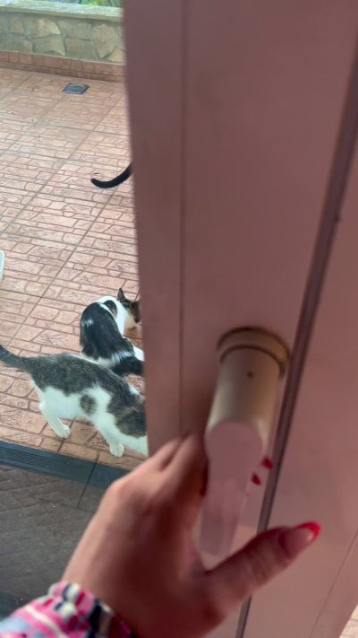 Watch Reb's leaked NSFW video on TwXstars