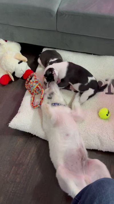 Watch ғᴀɴᴅʏ's leaked NSFW video on TwXstars