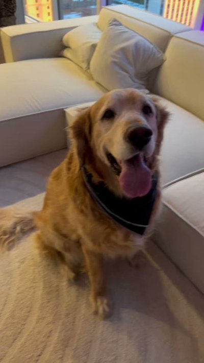 Watch Stass's leaked NSFW video on TwXstars