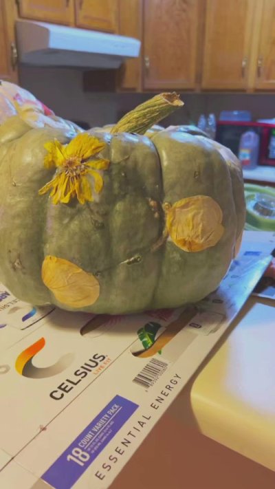 Watch ฅ^•ﻌ•^ฅ's leaked NSFW video on TwXstars