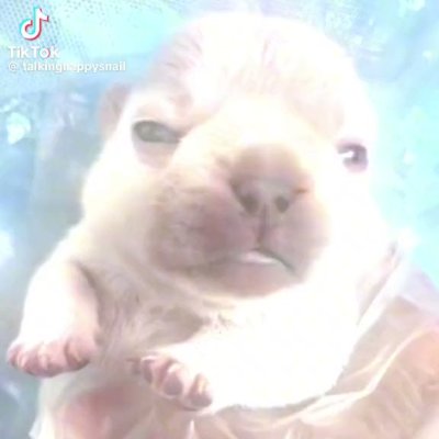 Watch Reb's leaked NSFW video on TwXstars