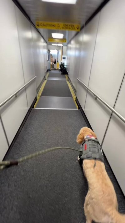 Watch Tarek Ali Ellis's leaked NSFW video on TwXstars