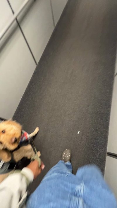 Watch Tarek Ali Ellis's leaked NSFW video on TwXstars