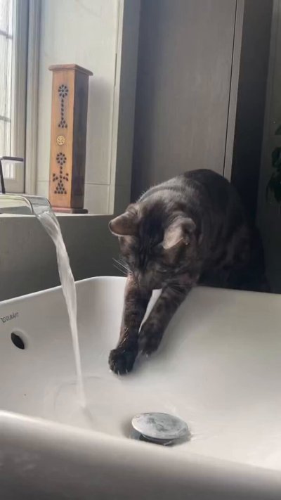 Watch Goddess Bellajynx 𓆩♡𓆪's leaked NSFW video on TwXstars