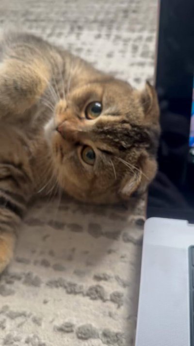 Watch Hannah Hedon's leaked NSFW video on TwXstars