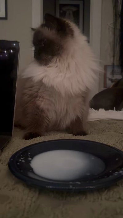 Watch Hannah Hedon's leaked NSFW video on TwXstars