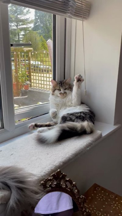 Watch Kitten_Sophie🐱🩷's leaked NSFW video on TwXstars