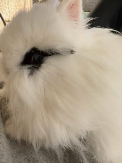 Watch Sarina Valentina's leaked NSFW video on TwXstars