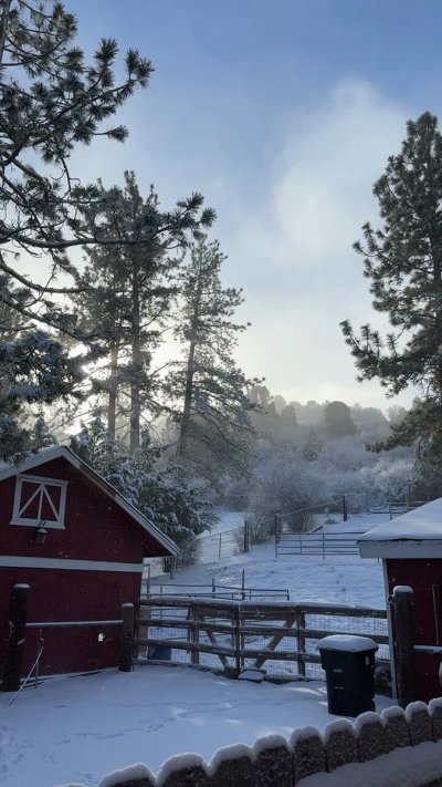 Watch Logan Stevens's leaked NSFW video on TwXstars