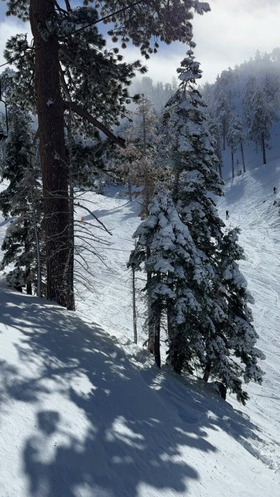 Watch Logan Stevens's leaked NSFW video on TwXstars