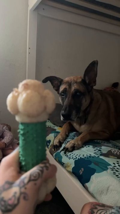 Watch Tigerlilly's leaked NSFW video on TwXstars