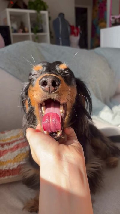 Watch Lauren Cross's leaked NSFW video on TwXstars