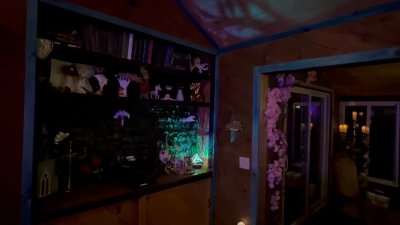 Watch Anthony Cumia's leaked NSFW video on TwXstars