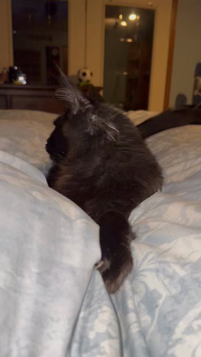 Watch Ms Red 🎂's leaked NSFW video on TwXstars