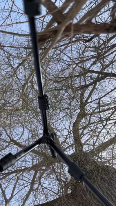 Watch Rachel Olivia's leaked NSFW video on TwXstars