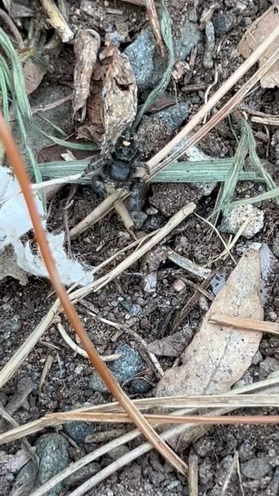 Watch ℜ𝔦𝔬 𝔰𝔦𝔢𝔯𝔥𝔞𝔲𝔰's leaked NSFW video on TwXstars