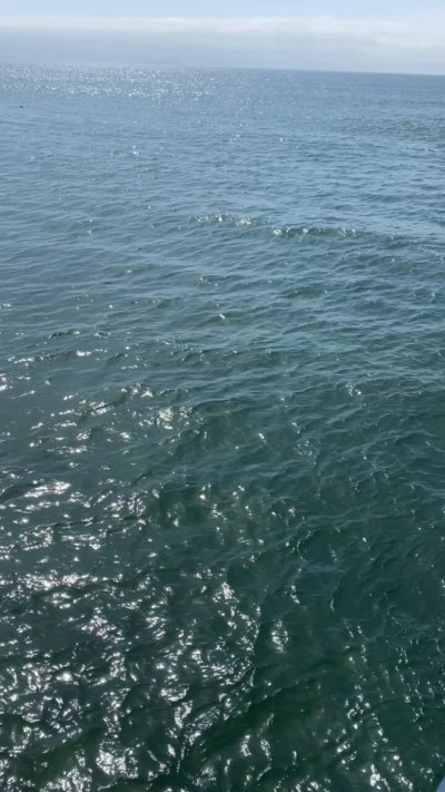 Watch Zaya Tha Flysta's leaked NSFW video on TwXstars