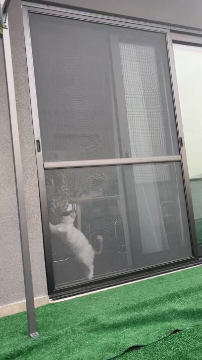 Watch Alya Vural's leaked NSFW video on TwXstars