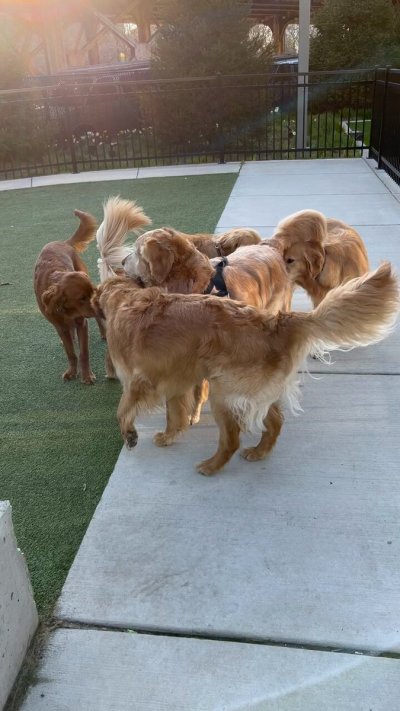 Watch Stass's leaked NSFW video on TwXstars