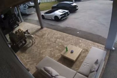 Watch corinna kopf's leaked NSFW video on TwXstars