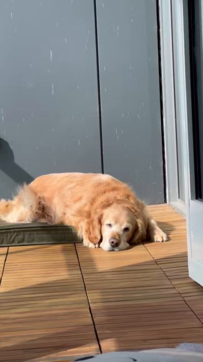 Watch Stass's leaked NSFW video on TwXstars