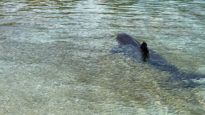 Watch Stass's leaked NSFW video on TwXstars