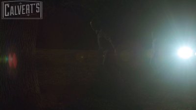 Watch casey calvert's leaked NSFW video on TwXstars