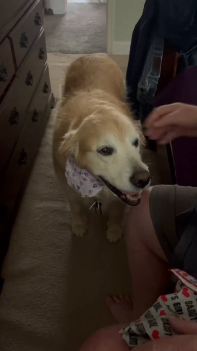 Watch WeRateDogs's leaked NSFW video on TwXstars