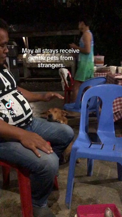 Watch WeRateDogs's leaked NSFW video on TwXstars