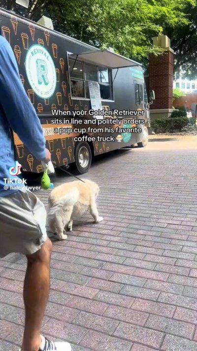 Watch WeRateDogs's leaked NSFW video on TwXstars