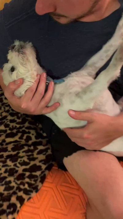 Watch WeRateDogs's leaked NSFW video on TwXstars