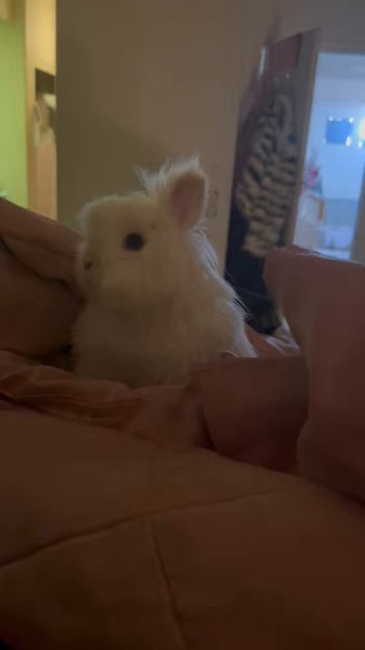 Watch Sarina Valentina's leaked NSFW video on TwXstars