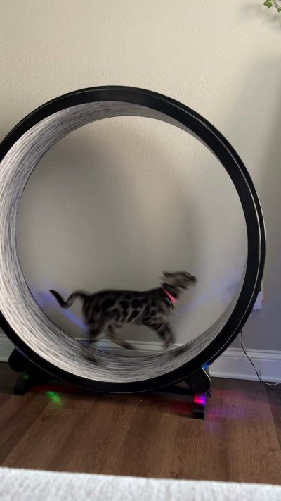 Watch Haley Spades 🌸 ONLYFANS's leaked NSFW video on TwXstars