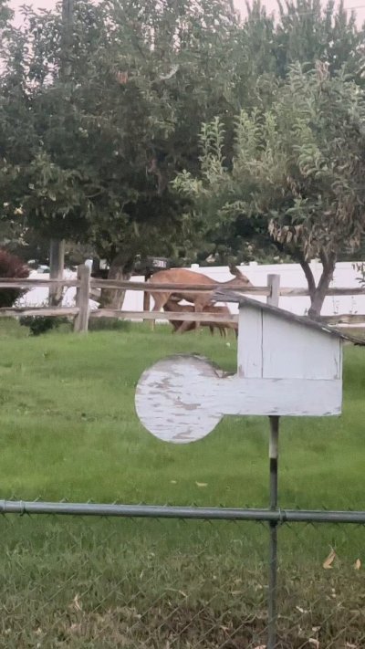 Watch Hannah Hedon's leaked NSFW video on TwXstars