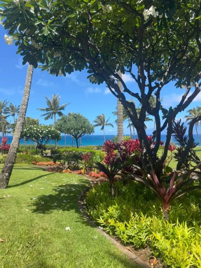 Watch Olivia May ✨'s leaked NSFW video on TwXstars