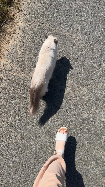 Watch Kitten_Sophie🐱🩷's leaked NSFW video on TwXstars